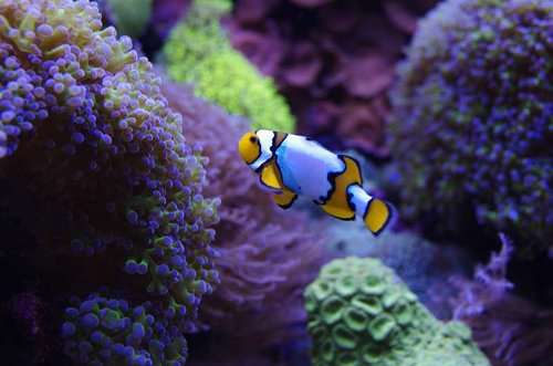 _IGP2779.JPG