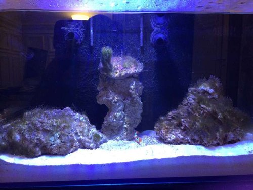 photo (28).JPG