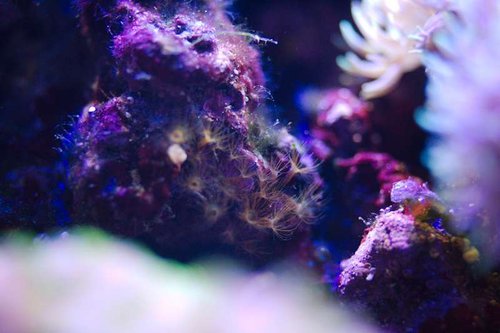 DSC_3287.jpg