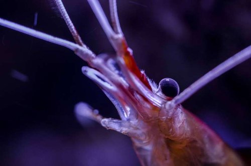 Fluval Edge Februar 2014-11.jpg