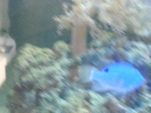 20140228_131622.jpg