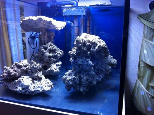 IMG_0201[1].JPG