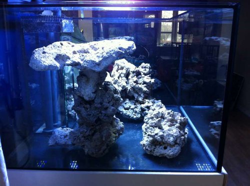 IMG_0199[1].JPG