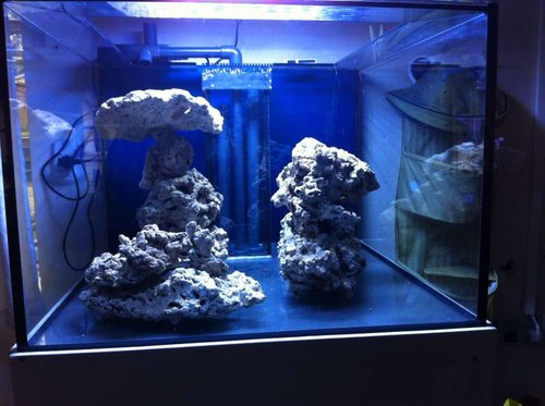 IMG_0198[1].JPG