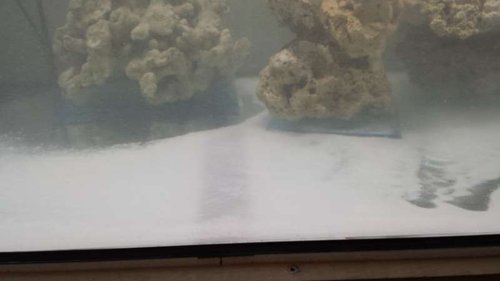 20140306_091612.jpg (17.74 KiB) Vist 1177 gange Salt