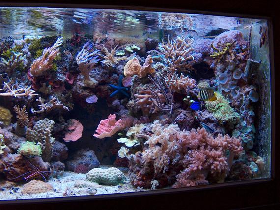 HPIM0458 (Custom).JPG