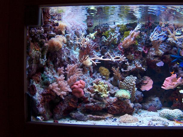 HPIM0457 (Custom).JPG