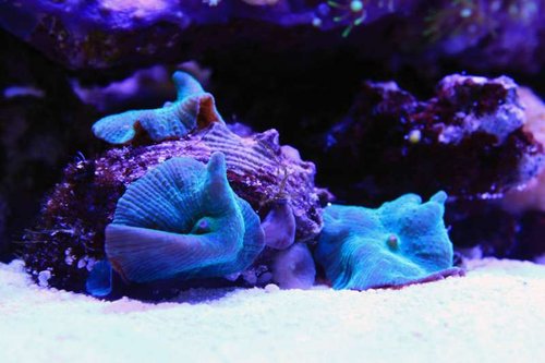 IMG_0147.JPG