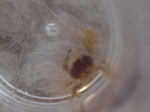 20140312_172030.jpg