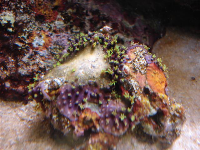 DSC00394 (Small).JPG