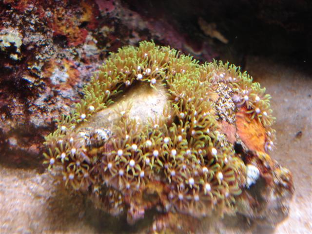 DSC00390 (Small).JPG