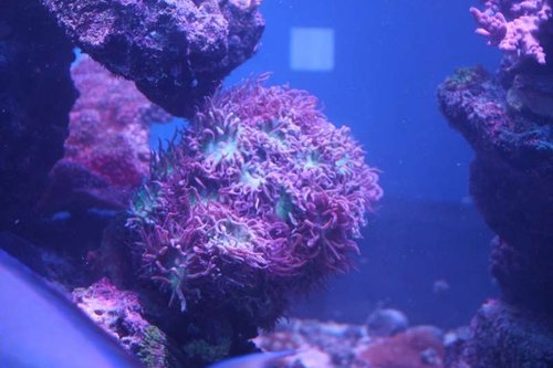 IMG_3149.JPG