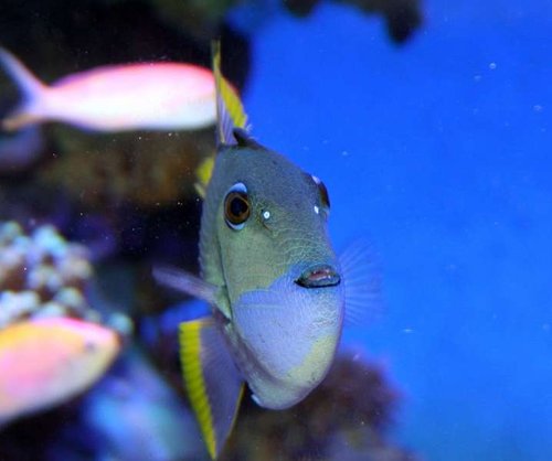 Hello!