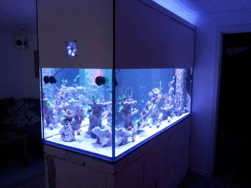 20140314_184557.jpg