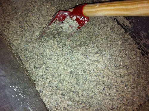 foto 10.JPG