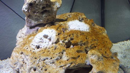 20140316_170913.jpg