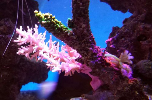 20140316_203644.jpg