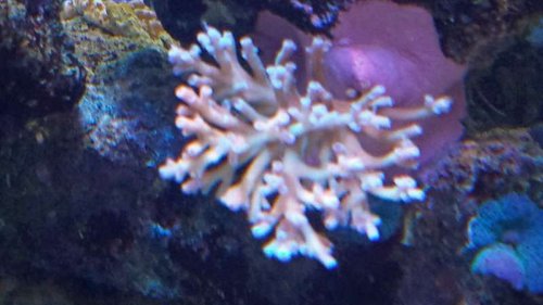 20140316_203711.jpg