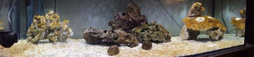 20140318_182502.jpg