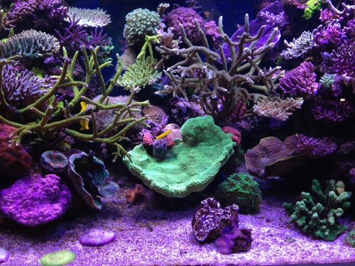 FTS