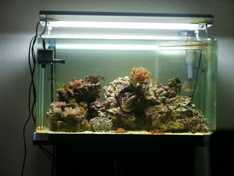 PICT0264.JPG