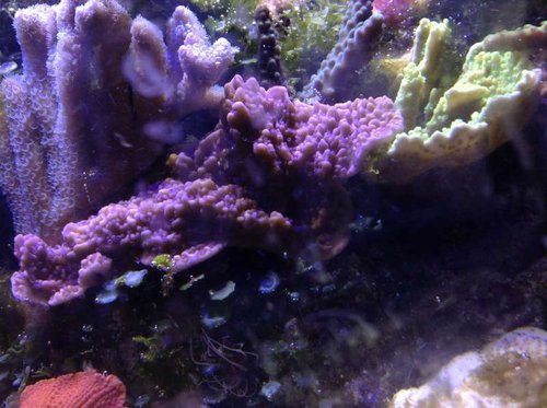 foto 2 (13).JPG