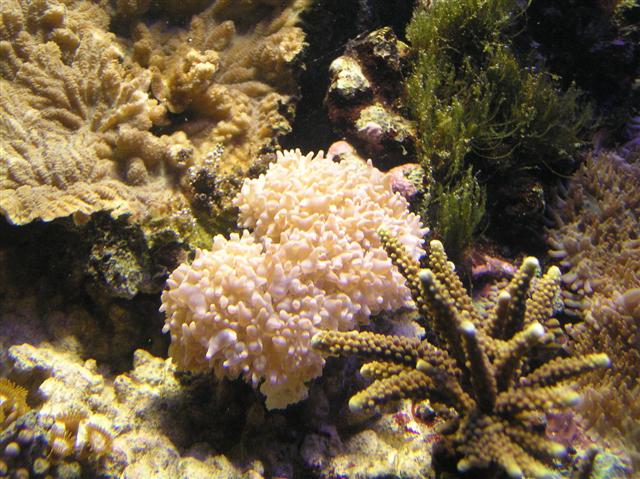 Flere pics fra Claus Schultz 400 l