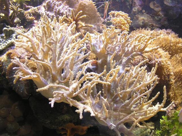 Flere pics fra Claus Schultz 400 l