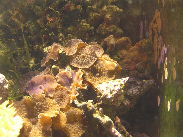 Flere pics fra Claus Schultz 400 l