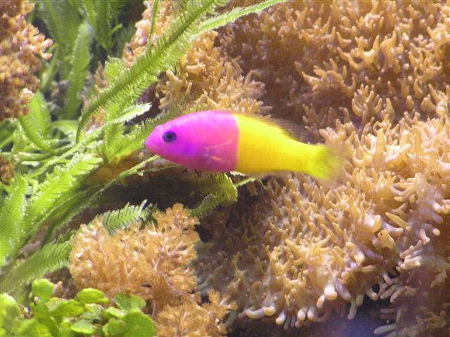 Flere pics fra Claus Schultz 400 l