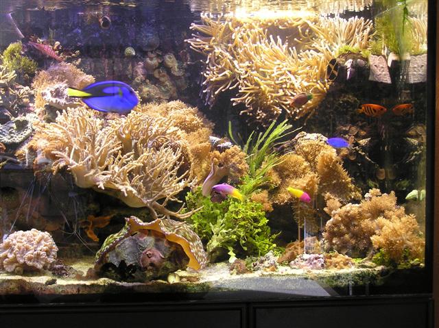 Flere pics fra Claus Schultz 400 l