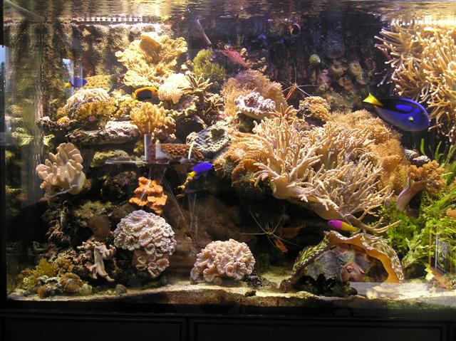 Flere pics fra Claus Schultz 400 l
