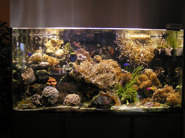 Flere pics fra Claus Schultz 400 l