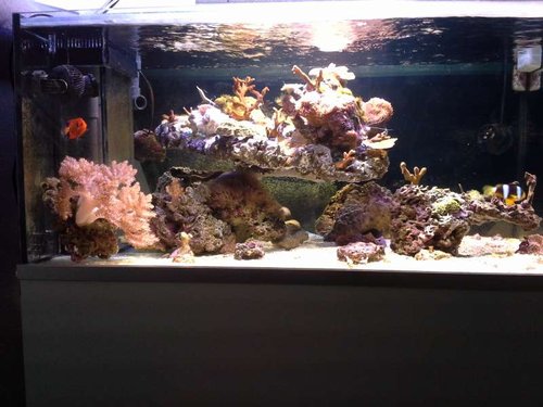 full tank foto