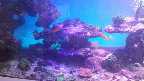 20140417_221814.jpg