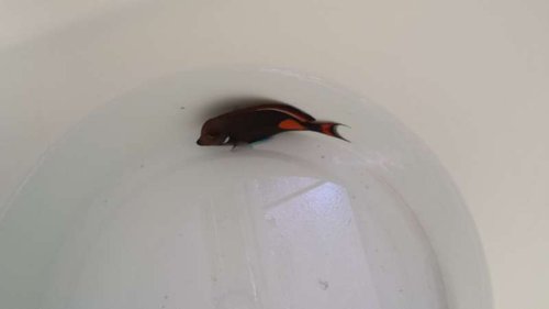 20140418_142218.jpg
