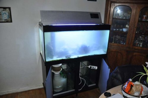 DSC_0289.jpg