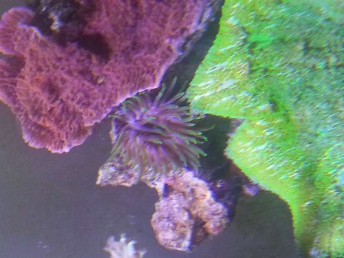 20140421_163130.jpg