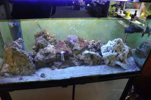 DSC_0352.jpg