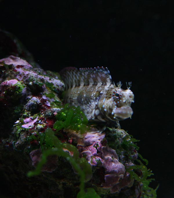 IMG_3213.jpg