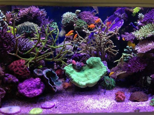 image.jpg (83.64 KiB) Vist 2243 gange 25/4-2014