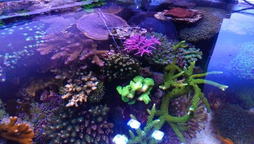 2014-04-26 19.10.19.jpg