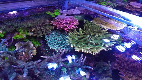 2014-04-26 19.08.48.jpg