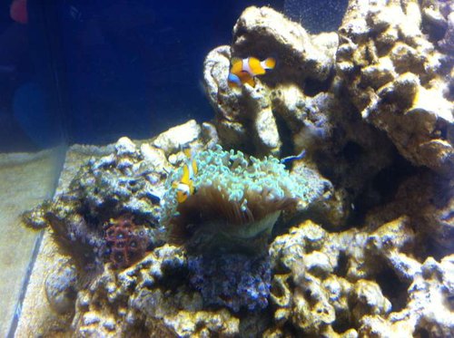 IMG_0416[1].JPG