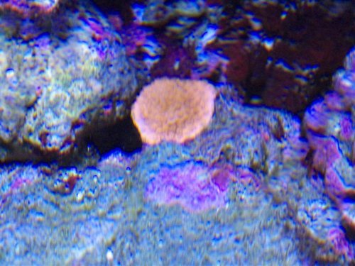 DSCF9644b (Medium).jpg