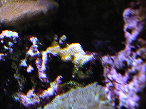 DSCF9634 (Medium).jpg