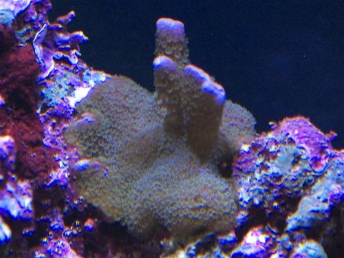 DSCF9640b (Medium).jpg