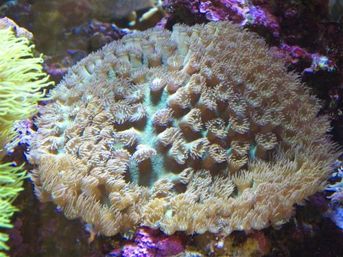 DSCF9630b (Medium).jpg