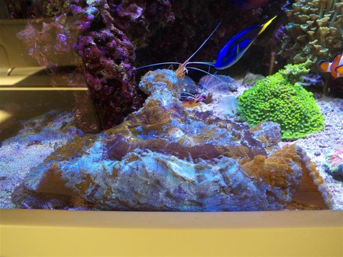 DSCF9622b (Medium) (2).jpg