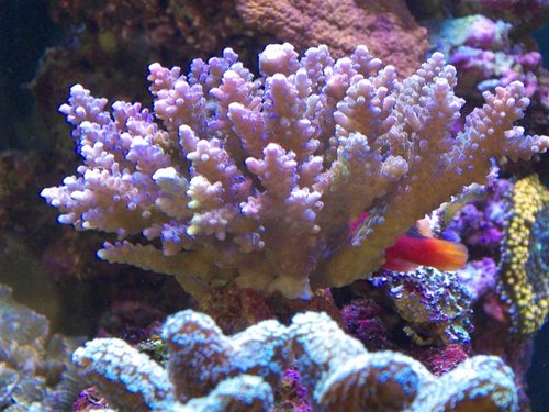 DSCF9625b (Medium).jpg